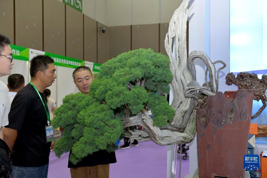 黄金渔场2025