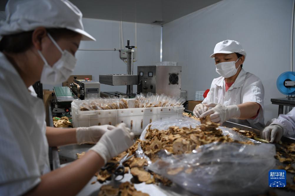 缅甸银钻娱乐下载